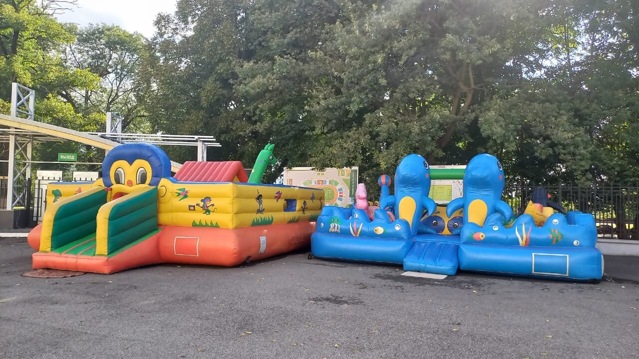 На домашнем матче руководство ФК 